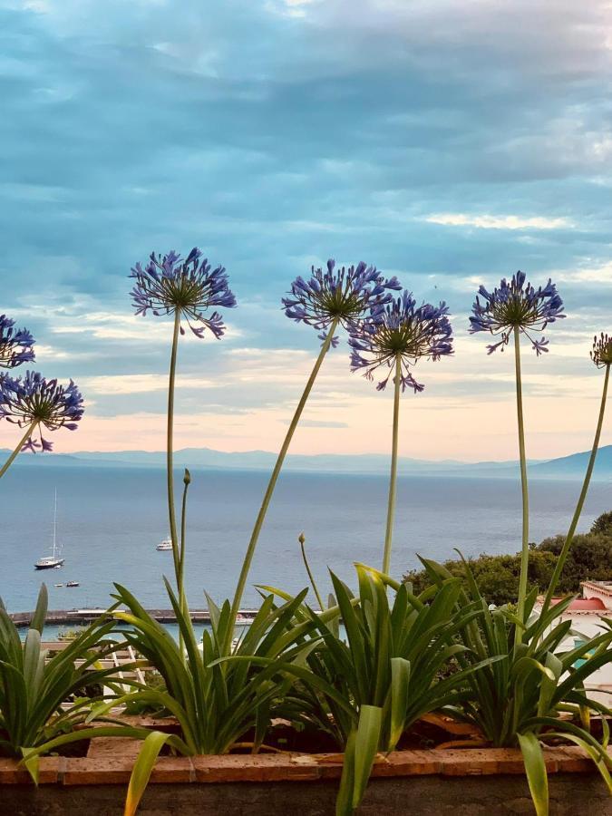 B&B L'Agapanto Capri Extérieur photo