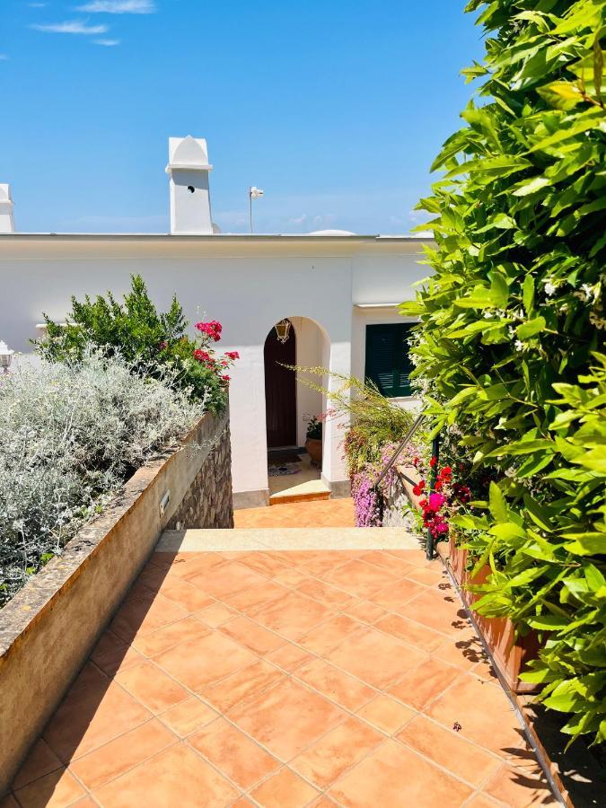 B&B L'Agapanto Capri Extérieur photo