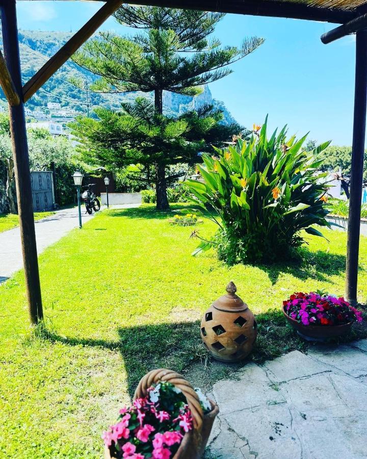 B&B L'Agapanto Capri Extérieur photo