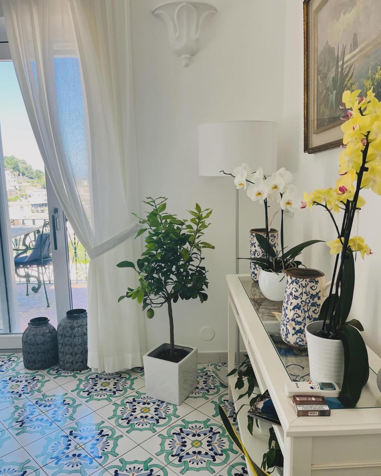 B&B L'Agapanto Capri Extérieur photo